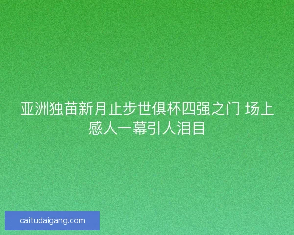 亚洲独苗新月止步世俱杯四强之门 场上感人一幕引人泪目