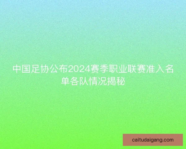 中国足协公布2024赛季职业联赛准入名单各队情况揭秘
