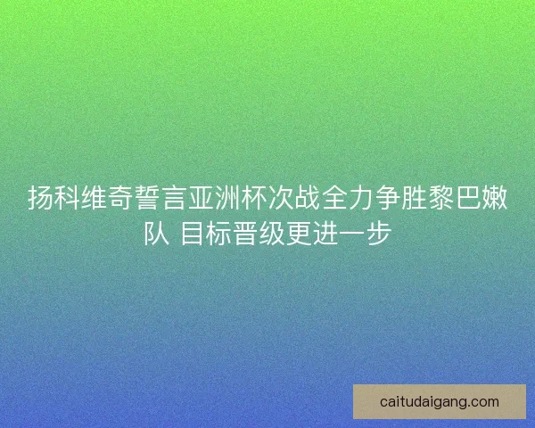 扬科维奇誓言亚洲杯次战全力争胜黎巴嫩队 目标晋级更进一步