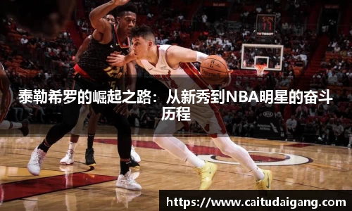 泰勒希罗的崛起之路：从新秀到NBA明星的奋斗历程
